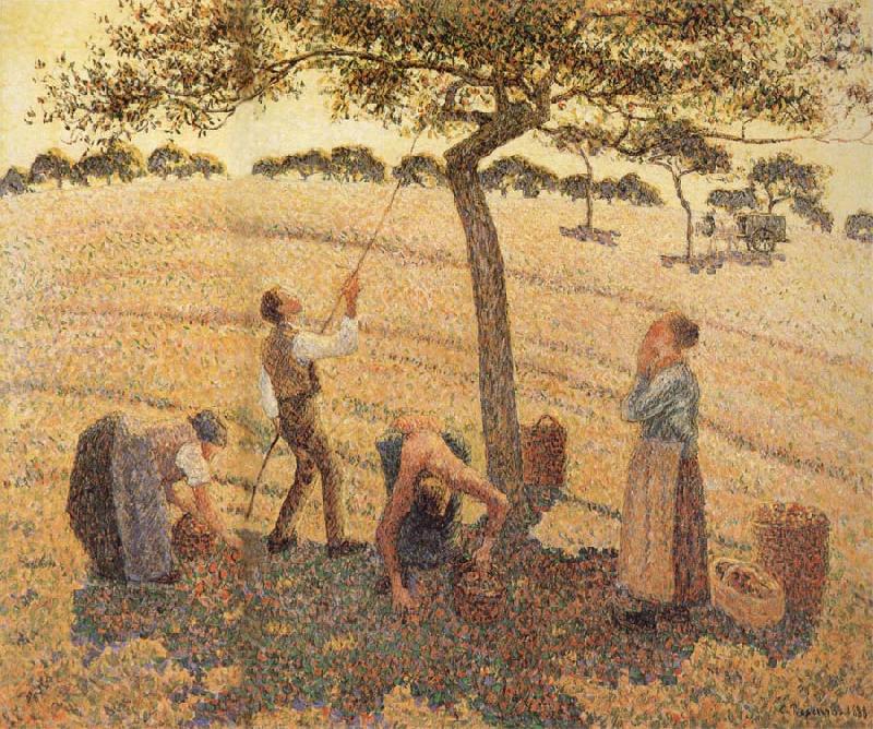 Camille Pissarro Pick Apple oil painting image